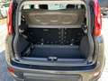 Fiat Panda Panda 4x4 1,3 Multijet II 95 Grau - thumbnail 9