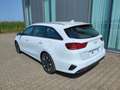 Kia Ceed SW / cee'd SW Sportswagon Spin 1.5 T-GDI 140PS 6-Gang, Weiß, ... Weiß - thumbnail 6