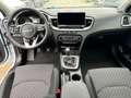 Kia Ceed SW / cee'd SW Sportswagon Spin 1.5 T-GDI 140PS 6-Gang, Weiß, ... Weiß - thumbnail 9