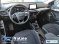Ford Focus Business 1.5 Ecoblue 120 CV Nero - thumbnail 11