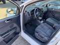 Volkswagen Golf Plus Comfortline,lückenlose Scheckheftgepflegt beiVw Blanc - thumbnail 6