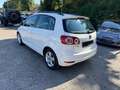 Volkswagen Golf Plus Comfortline,lückenlose Scheckheftgepflegt beiVw Blanc - thumbnail 12
