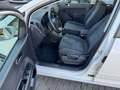 Volkswagen Golf Plus Comfortline,lückenlose Scheckheftgepflegt beiVw Blanc - thumbnail 5