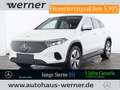 Mercedes-Benz EQA 300 4M PROG-ADV+ AHK PANO FAP 360°SOUND WDGS Weiß - thumbnail 1