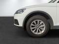 Audi Q5 2.0 TDI QUATTRO S-TRONIC BASIS+AZV+PDC+GRA+NAVI Weiß - thumbnail 9