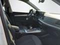 Audi Q5 2.0 TDI QUATTRO S-TRONIC BASIS+AZV+PDC+GRA+NAVI Weiß - thumbnail 14