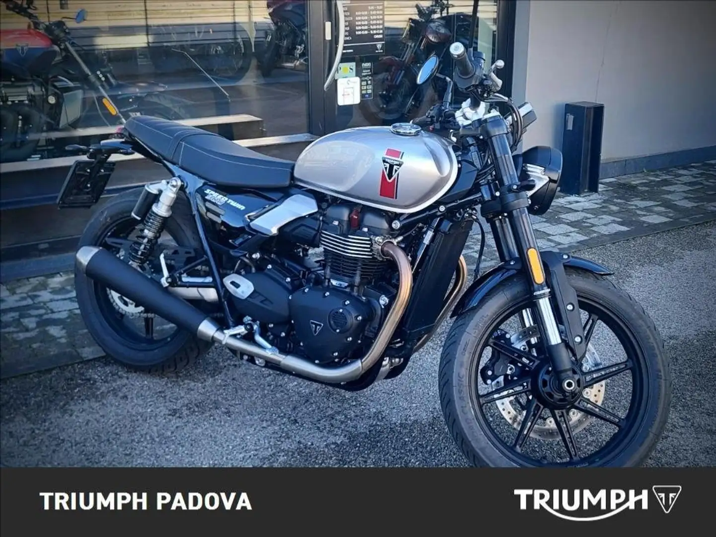 Triumph Speed Twin 900 MY25 Grigio - 1