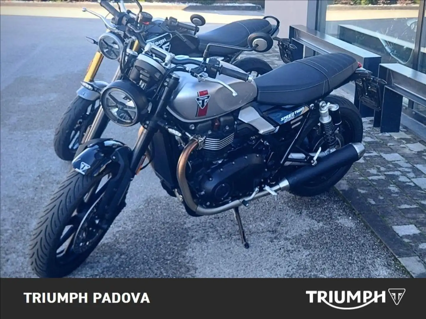 Triumph Speed Twin 900 MY25 Grigio - 2