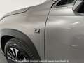 Lexus NX 300 Hybrid 4WD F-Sport - thumbnail 6