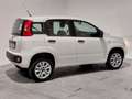 Fiat Panda 0.9 TwinAir Turbo Natural Power Easy BENZ.-METANO Bianco - thumbnail 8