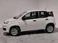 Fiat Panda 0.9 TwinAir Turbo Natural Power Easy BENZ.-METANO Bianco - thumbnail 5