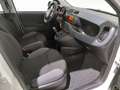 Fiat Panda 0.9 TwinAir Turbo Natural Power Easy BENZ.-METANO Bianco - thumbnail 14
