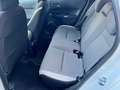 Honda Jazz Jazz Crosstar 1.5 hev Executive ecvt Bianco - thumbnail 9