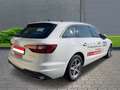 Audi A4 Avant 35 TDI  2.0 Alu Navi LED Klimaautomatik Weiß - thumbnail 4