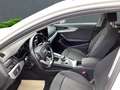 Audi A4 Avant 35 TDI  2.0 Alu Navi LED Klimaautomatik Weiß - thumbnail 8