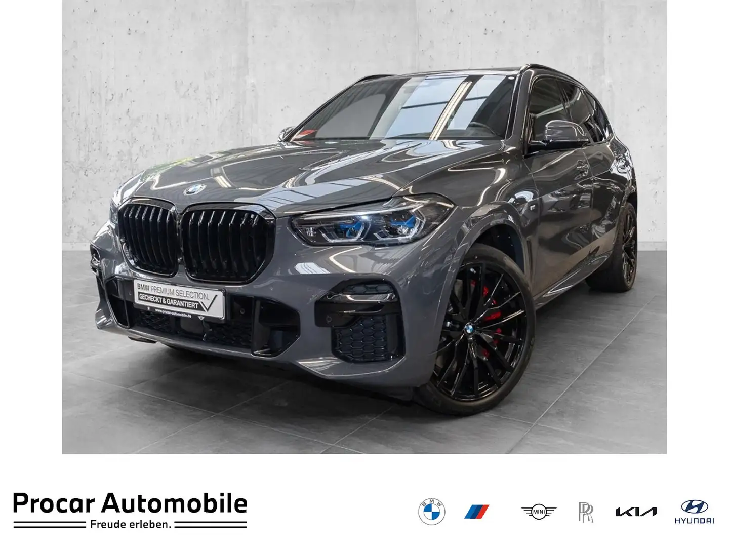 BMW X5 xDrive40d M Sportpaket Night Vision Head-Up Gris - 1