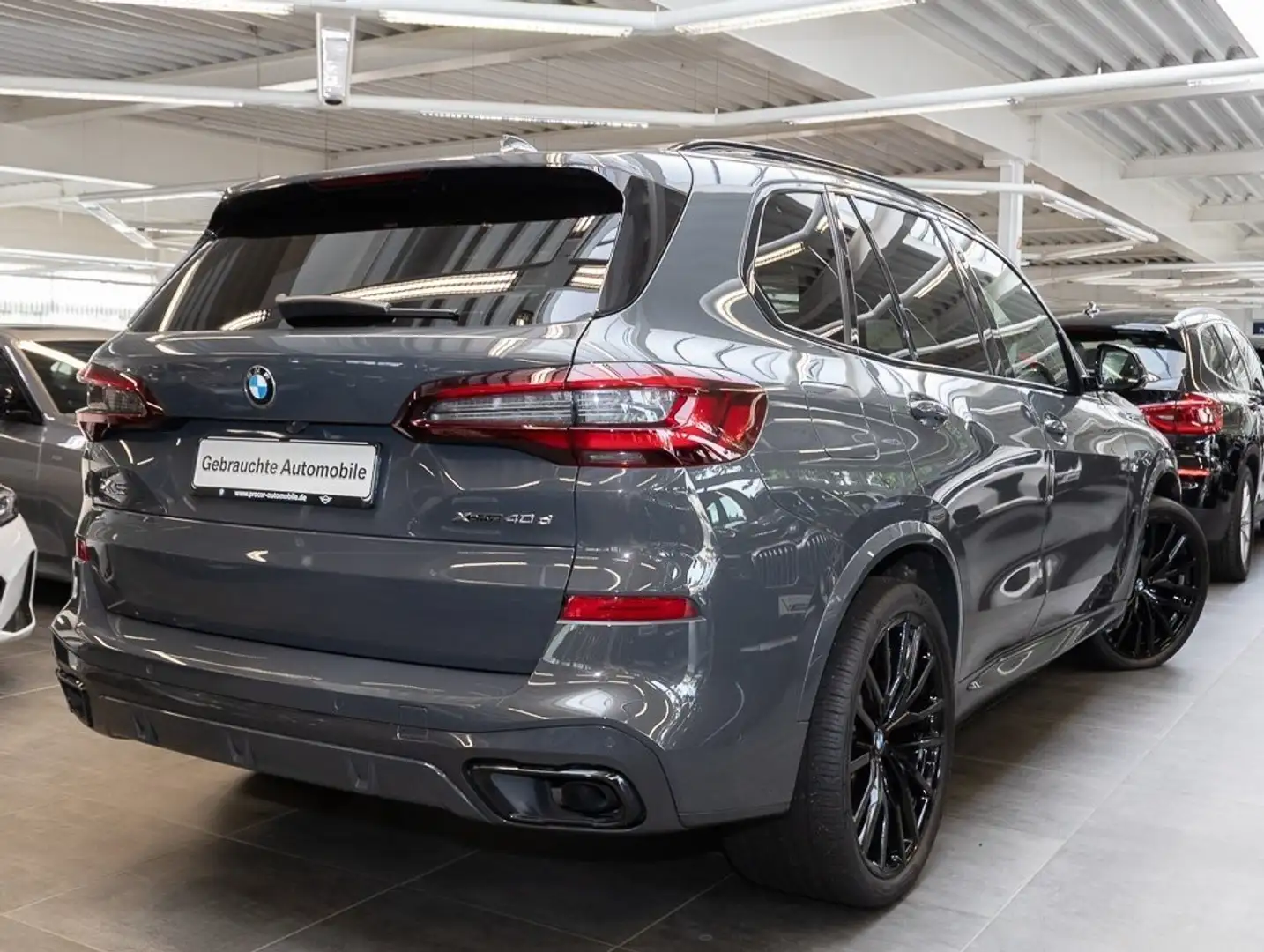 BMW X5 xDrive40d M Sportpaket Night Vision Head-Up Gris - 2