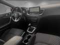 Kia Ceed / cee'd ceed 1,0 TGDI | TOP GEPFLEGTER ZUSTAND | SEHR G... Rot - thumbnail 10