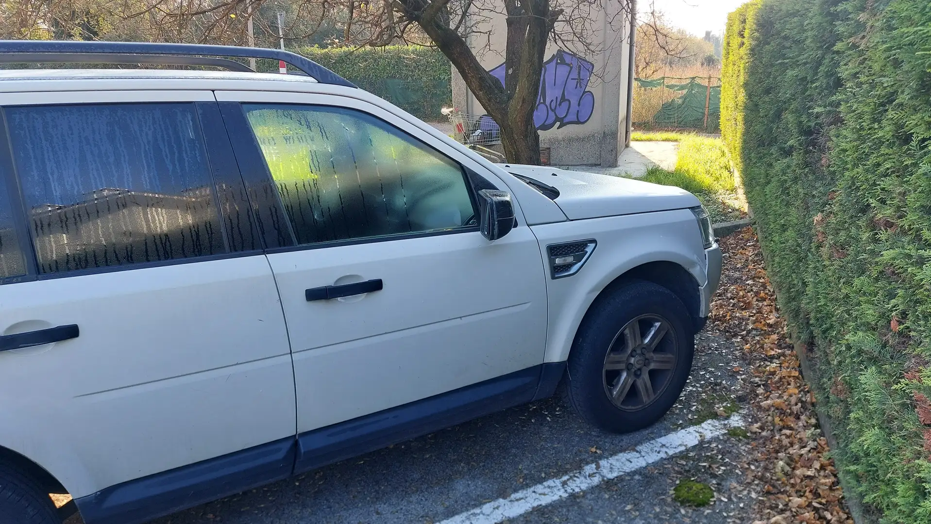 Land Rover Freelander 2.2 td4 Bianco - 1