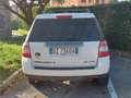 Land Rover Freelander 2.2 td4 Bianco - thumbnail 2