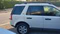 Land Rover Freelander 2.2 td4 Bianco - thumbnail 3