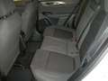 Alfa Romeo Tonale Tonale 1.6 jtd Sprint 130cv tct6 Bianco - thumbnail 12