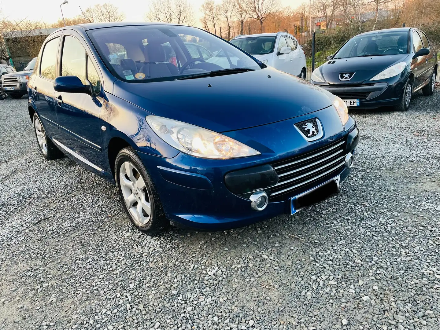 Peugeot 307 1.6 HDi 16v - 110 Exécutive Bleu - 1