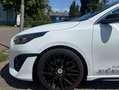 Kia Ceed / cee'd Ceed 1.5 T-GDI DCT7 OPF GT Line Weiß - thumbnail 3