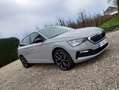 Skoda Scala Scala 1.0 TSI Ambition Gris - thumbnail 1