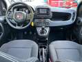 Fiat Panda Classic 1.0 70ch BSG S\u0026S City Noir - thumbnail 17