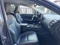 Lexus NX 350h NX 350h 2.5 Luxury 4wd e-cvt UNIC PROPRIETARIO Gris - thumbnail 12