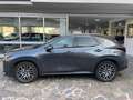 Lexus NX 350h NX 350h 2.5 Luxury 4wd e-cvt UNIC PROPRIETARIO Gris - thumbnail 3