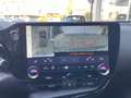 Lexus NX 350h NX 350h 2.5 Luxury 4wd e-cvt UNIC PROPRIETARIO Gris - thumbnail 13
