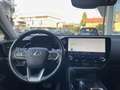 Lexus NX 350h NX 350h 2.5 Luxury 4wd e-cvt UNIC PROPRIETARIO Gris - thumbnail 9
