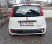 Fiat Panda 1.2 Easy 69cv - thumbnail 2