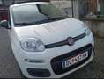 Fiat Panda 1.2 Easy 69cv - thumbnail 4