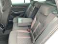 Skoda Octavia Combi 1.4 TSI DSG RS LED Einparkh Sitzh Weiß - thumbnail 11