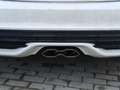 Ford Focus St Weiß - thumbnail 12