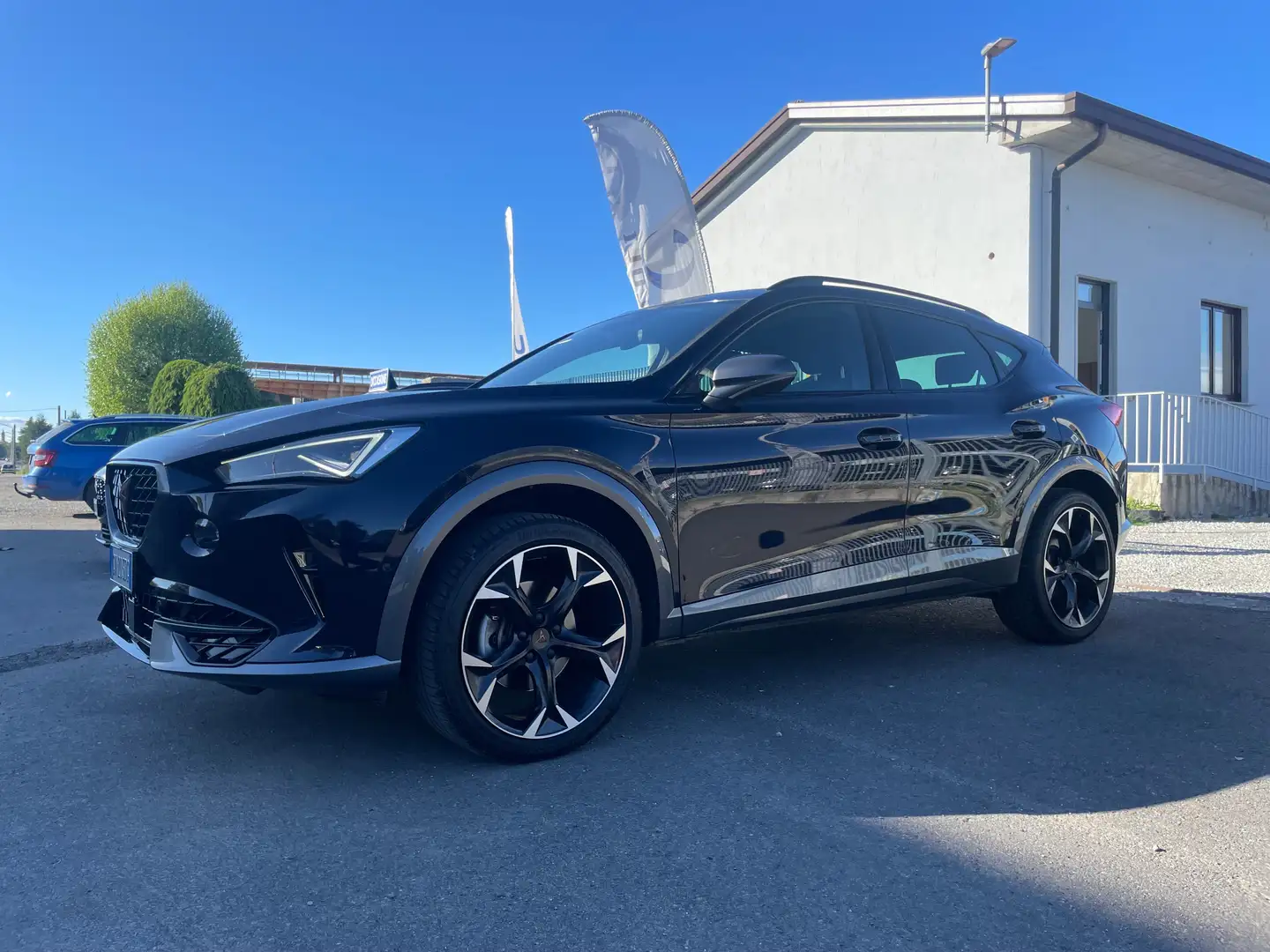 CUPRA Formentor Formentor 1.5 tsi 150cv dsg Blu/Azzurro - 1