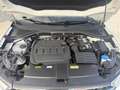 Volkswagen T-Roc T-Roc R-Line 4motion 150cv dsg garanzia Blanc - thumbnail 14
