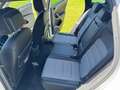 Volkswagen Tiguan Tiguan 2,0 TDI SCR 4Motion Highline DSG Highline Weiß - thumbnail 7