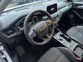 Ford Focus Active, LED, Leder, Toter Winkel Weiß - thumbnail 10
