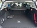 Ford Focus Active, LED, Leder, Toter Winkel Weiß - thumbnail 7