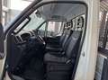 Iveco Daily 35C14 RIBALTABILE DA 3.95METRI PARI NUOVO Bianco - thumbnail 10