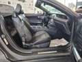Ford Mustang 5.0 GT CABRIO Limite Edition WRacing EUROPA COC CU Gris - thumbnail 7
