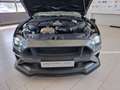 Ford Mustang 5.0 GT CABRIO Limite Edition WRacing EUROPA COC CU Gris - thumbnail 14