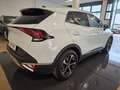 Kia Sportage Sportage 1.6 CRDI 136 CV DCT7 2WD Mild Hybrid Sty Weiß - thumbnail 6