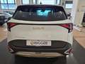 Kia Sportage Sportage 1.6 CRDI 136 CV DCT7 2WD Mild Hybrid Sty Weiß - thumbnail 5