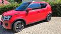 Suzuki Ignis Ignis 1.2 comfort+ 4×4 Hybrid Rot - thumbnail 12
