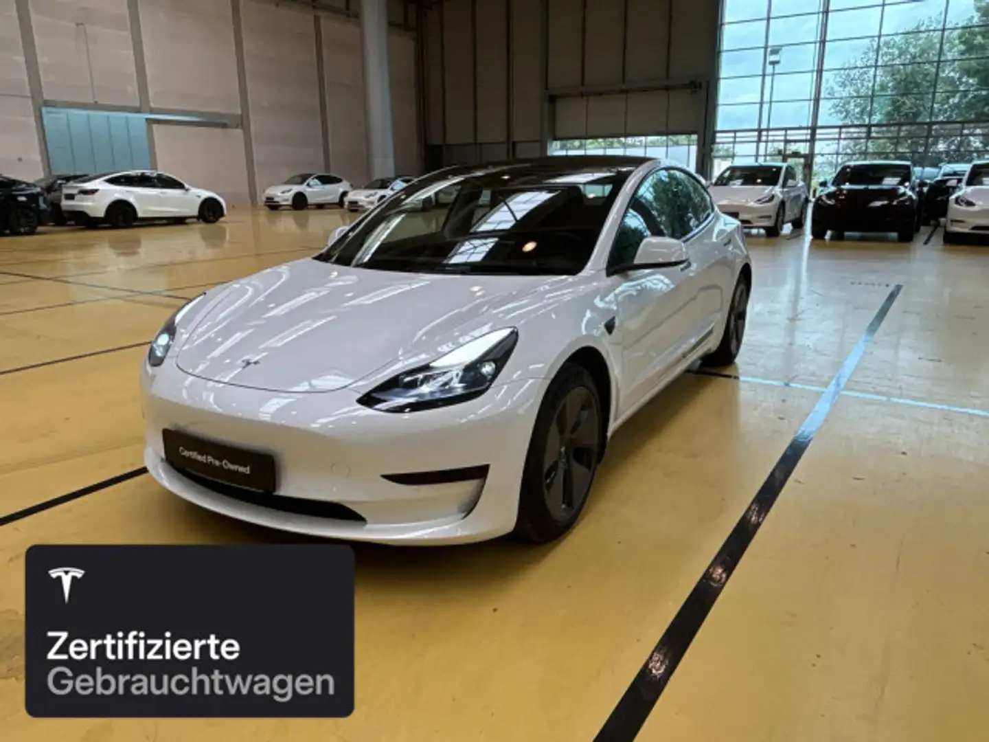 Tesla Model 3 Rear-Wheel Drive Weiß - 1